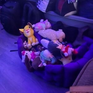 Meet your Posher, Nadine